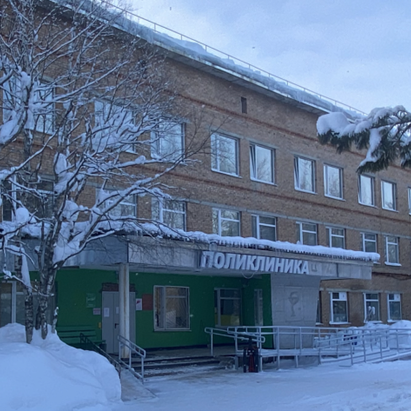 гбуз вуктыл 2